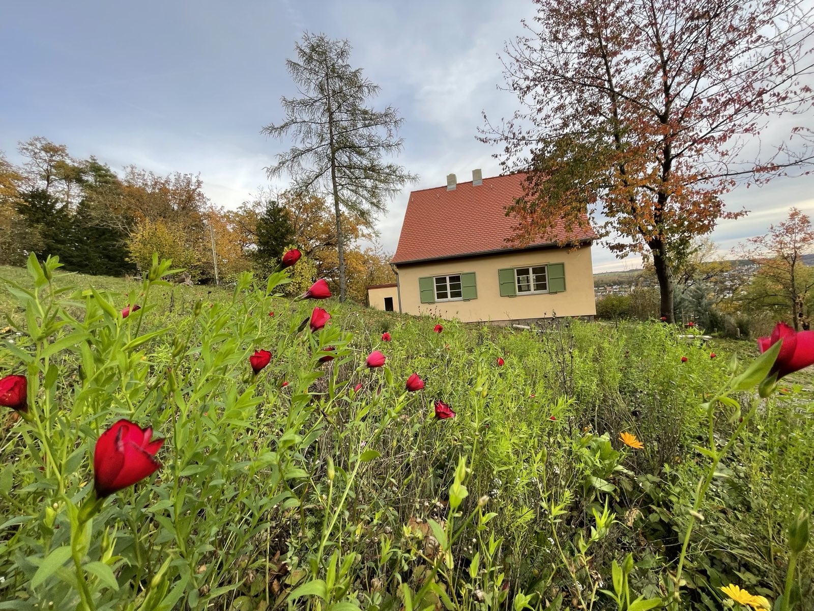 Waldhaus im Herbst